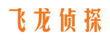 牡丹市侦探公司